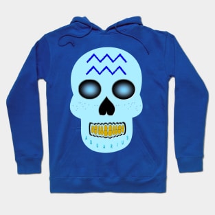 Star Sign Skull Aquarius Hoodie